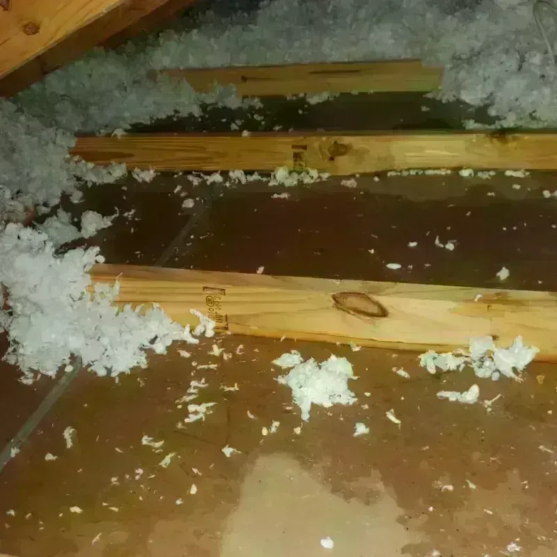 Attic Water Damage in Green Valley Farms, TX